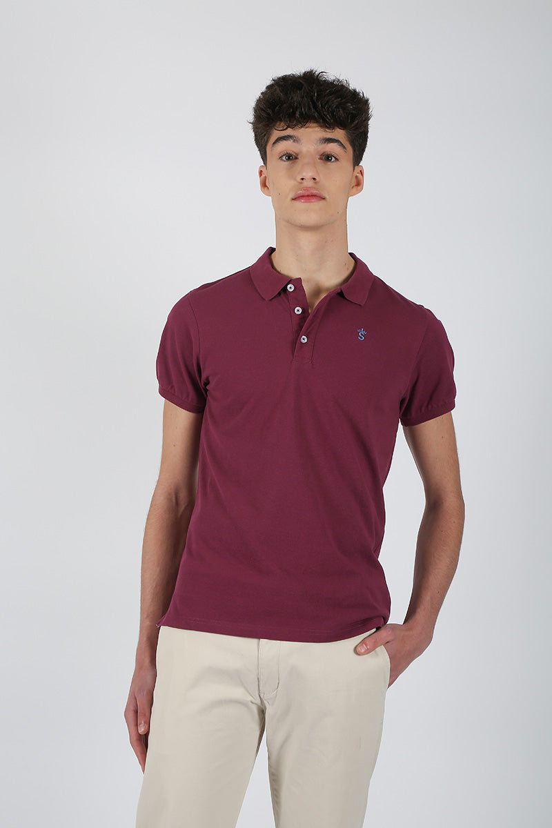 Polo vino