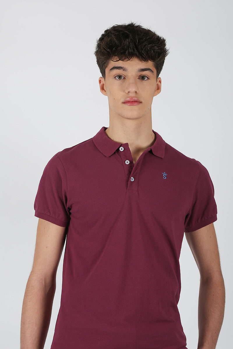 Polo vino