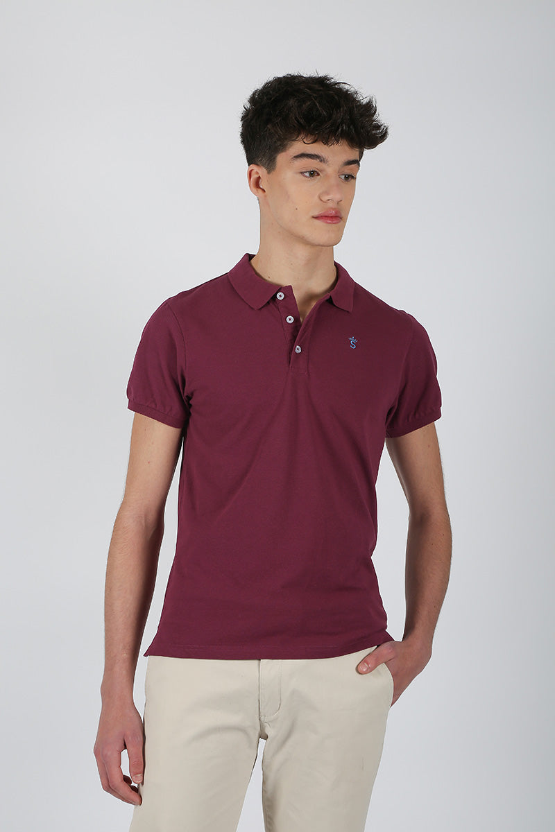 Polo vino